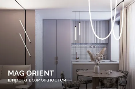 Магнитная система MAG ORIENT