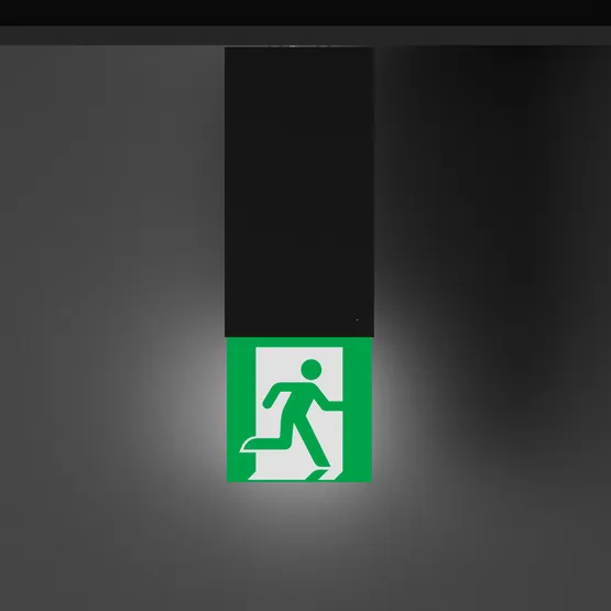 Фото #3 товара Световой указатель EMG-MARK-L-3H-BK (Arlight, IP40 Металл, 5 лет)