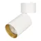 Минифото #1 товара Светильник SP-POLO-SURFACE-FLAP-R85-15W White5000 (WH-GD, 40 deg) (Arlight, IP20 Металл, 3 года)